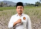 Petani Bone Bolango Terjepit Kemarau, Syamsir Desak Dinas Ketahanan Pangan Percepat Penanganan Krisis Air Sawah