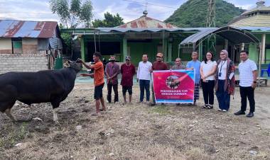 CSR Idul Adha 1447 H, Citimall Gorontalo Salurkan Sapi Kurban untuk Warga Kota Gorontalo