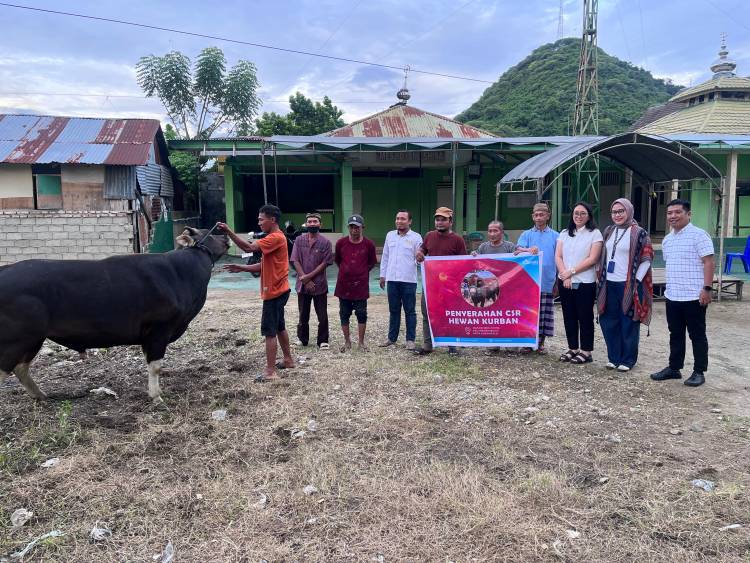 CSR Idul Adha 1447 H, Citimall Gorontalo Salurkan Sapi Kurban untuk Warga Kota Gorontalo