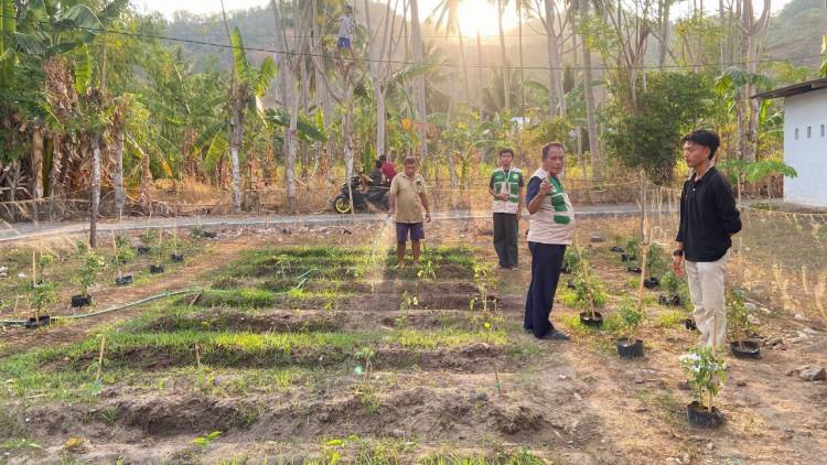 KKN Tematik II UNG Desa Boidu Dorong Ketahanan Pangan dan Kebersamaan Masyarakat melalui Edukasi, Budidaya, dan Olahraga